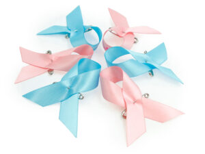 Set aus rosa und blauen Satin-Schleifen Awareness Pins mit Sicherheitsnadeln, Hersteller AMGS Group.