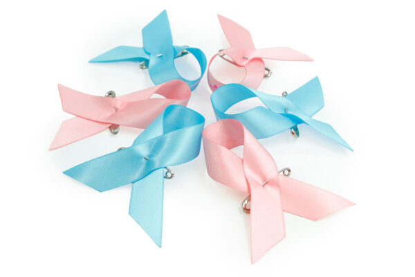 Set aus rosa und blauen Satin-Schleifen Awareness Pins mit Sicherheitsnadeln, Hersteller AMGS Group.